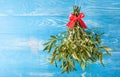 Broom from green mistletoe Royalty Free Stock Photo