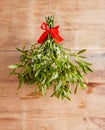 Broom from green mistletoe Royalty Free Stock Photo