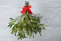 Broom from green mistletoe Royalty Free Stock Photo