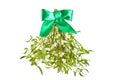 Broom from green mistletoe Royalty Free Stock Photo