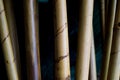 Broom handle made by bamboo, Thai traditional hand craft. I