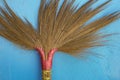 Broom head on blue wall