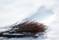 A broom for snow removal lies in a snowdrift.