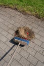 Broom Sweeping Grass Clippings And Debris On Pavement.. Royalty Free Stock Photo