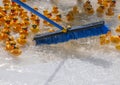 Push broom sweeps rubber duckies to the starting line at the Rubber Ducky Festival Royalty Free Stock Photo