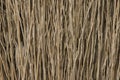 Broom texture,Grunge texture of dry grass Royalty Free Stock Photo