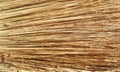 Broom texture, sorghum stems closeup