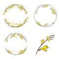 Broom Yellow Flower Decorative Frame Set