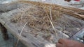 brooms made with coconut husk