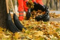 Brooms near tree and blurred view of worker cleaning street from fallen leaves on background