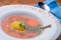 Broth with vegetables and meat Royalty Free Stock Photo