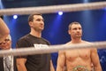 Brother Klitschko in ring Royalty Free Stock Photo