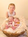 Brother with newborn twin sisters Royalty Free Stock Photo