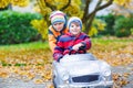 Brother pushing car for child. Happiness, fun, leisure in fall park. Royalty Free Stock Photo