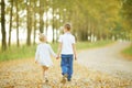 Brother and sister on country road Royalty Free Stock Photo