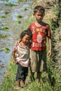 Brother and sister on a ricefield