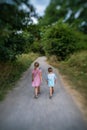 Brother and sister walking in the countryside Royalty Free Stock Photo