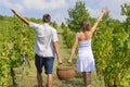 Brother and sister working on grape picking and holding the bask Royalty Free Stock Photo