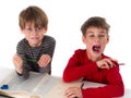 Brothers learning together Royalty Free Stock Photo