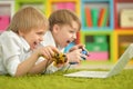 Brothers playing a computer game Royalty Free Stock Photo