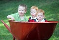 Brothers in wheel barrow Royalty Free Stock Photo