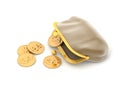 Broun purse and coins