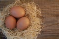 Brovn eggs Royalty Free Stock Photo