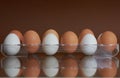 Brovn and white eggs Royalty Free Stock Photo