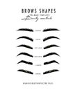 Brow bar poster, microblading eyebrows shapes realistic vector art. Beauty salon drawing, makeup artsit. Henna brows shapes poster