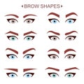 Brow Shapes. Royalty Free Stock Photo