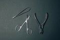 brow tweezer scissors and cuticle nipper. beauty kit.