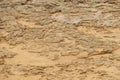 Brown abstract background of clayey sand texture. Soft focus Royalty Free Stock Photo