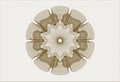 Brown abstract linear rosette. Vector Illustration. Detailed. EPS10