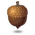 Brown acorn isolated on white background close up. Vector Illustration