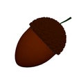 Brown acorn isolated on white background. 3D. Vector illustration