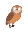 Brown adorable owl Royalty Free Stock Photo