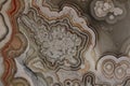 Brown agate texture Royalty Free Stock Photo