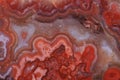 brown agate texture Royalty Free Stock Photo