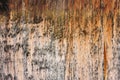 Brown aged wooden board background