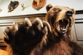 Brown aggressive bear, terrible bear in house, scarecrow