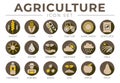 Brown Agriculture Round Icon Set of Wheat, Corn, Soy, Tractor, Sunflower, Fertilizer, Sun, Water, Growth, Weather, Rain, Fields, Royalty Free Stock Photo