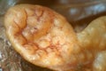 Brown algae (fucus). macro