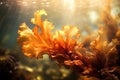 Brown Algae Swaying Underwater, Closeup. Generative AI