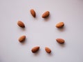 Almonds seed isolated background Royalty Free Stock Photo