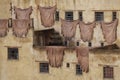 Animal skin hang outside a building in the tanneries in Fez, Morocco