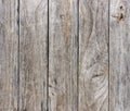 Brown annual ring and gnarl pattern on the old wood, material for decortion the wall Royalty Free Stock Photo