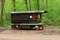 Brown Antique car in the forest