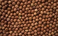 Brown appetizing background of fresh organic crispy hazelnuts