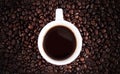 Brown arabica coffee bean isolated