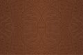 Brown art with linear seamless tribal pattern Royalty Free Stock Photo